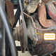 Image for article titled Why I Chose A 1965 Plymouth Valiant As A Winter Car Over A Toyota Land Cruiser